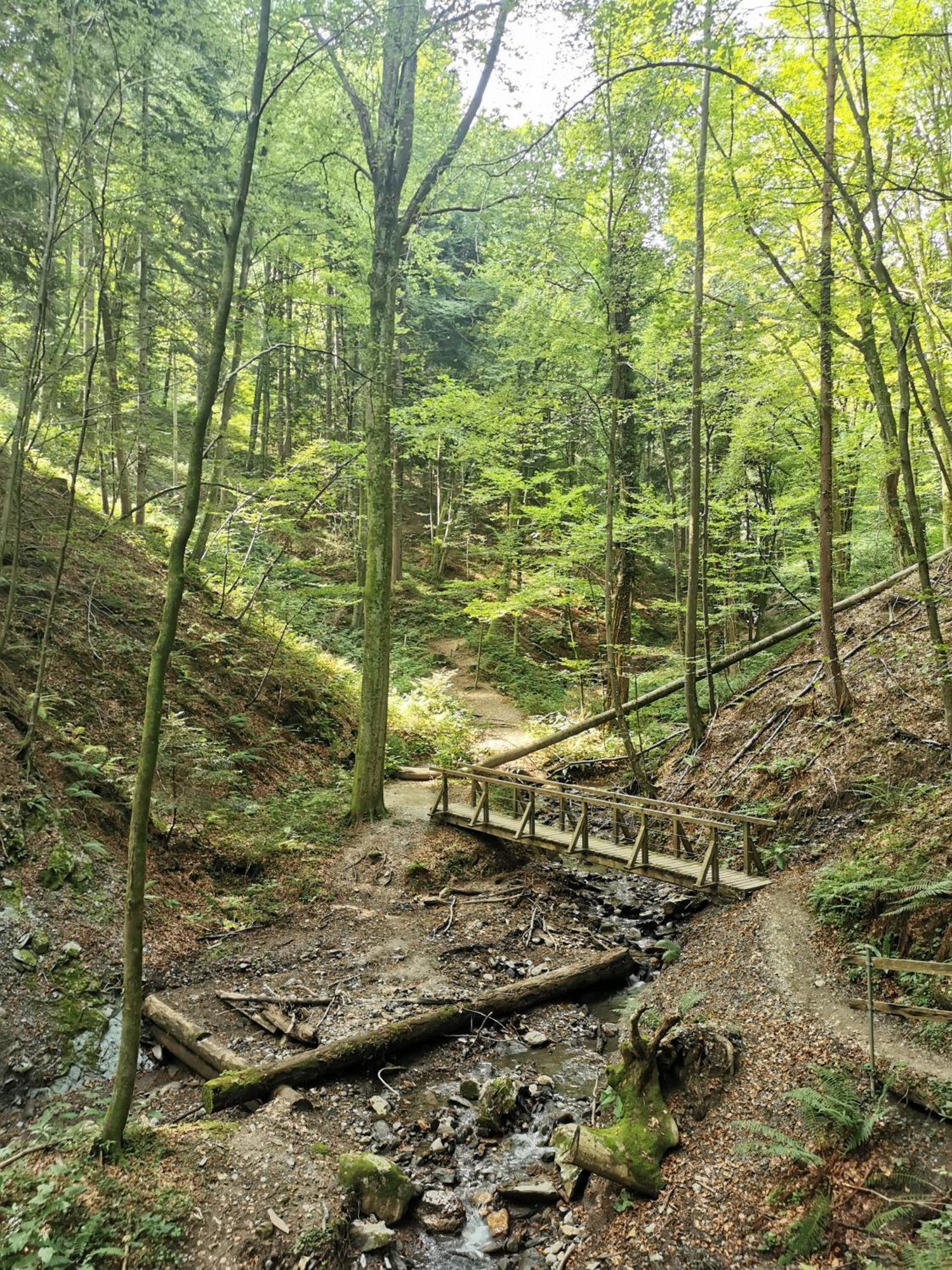 Traumhaftes Ferienhaus Am Lateinberg - 8455 Eibiswald Suedsteiermark المظهر الخارجي الصورة